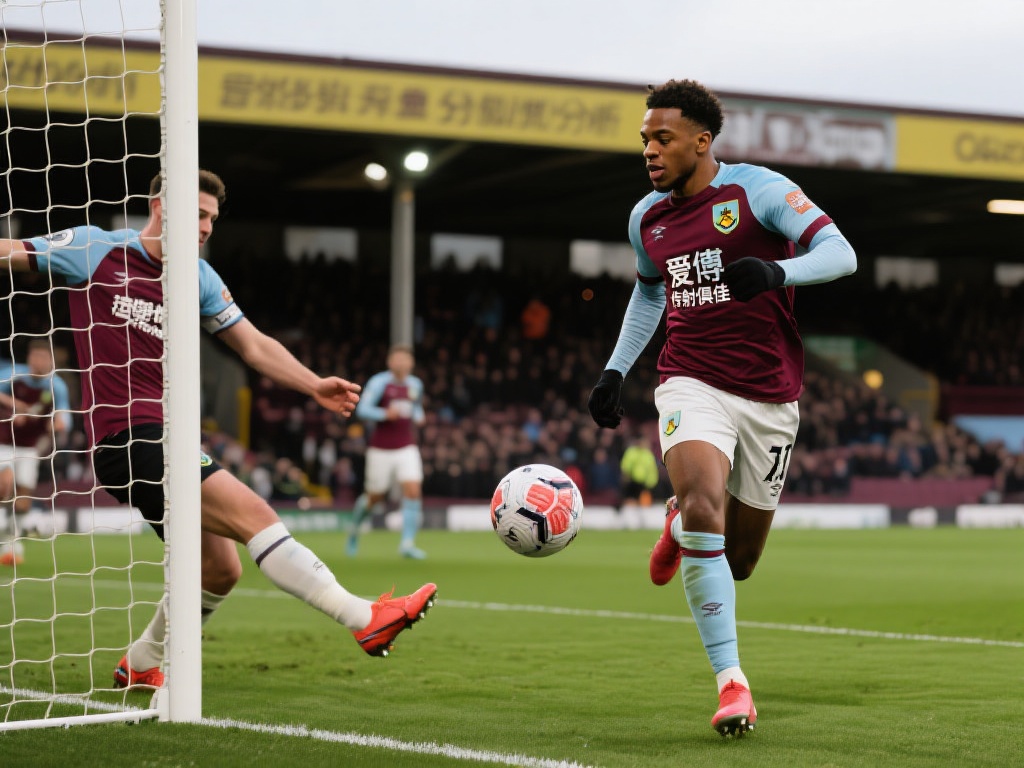 它不仅指向 它不仅指向